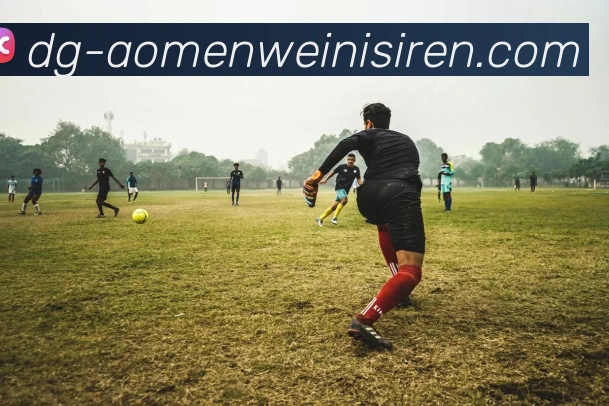 数据防护可视化